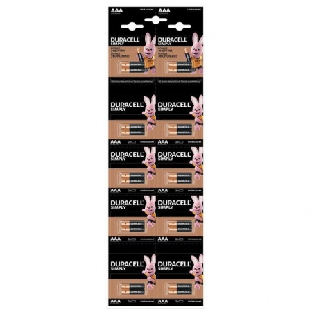  AAA Duracell LR03-20BL, 20 ,   (MN2400)