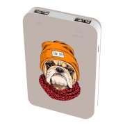   Ritmix RPB-10007 Bulldog, 10000 / Li-pol, 2.1A 2xUSB