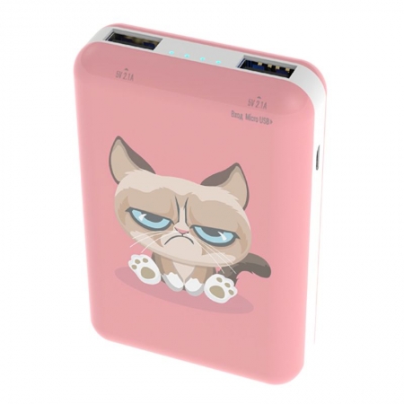   Ritmix RPB-10007 Grumpy Cat, 10000 / Li-pol, 2.1A 2xUSB