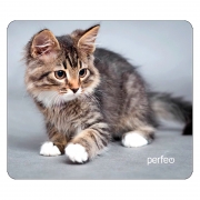    Perfeo Cat 20, 240x200x2 , +  (PF_D0661)