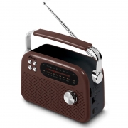  Ritmix RPR-045 Chocolate, FM/AM/SW, Bluetooth, MP3